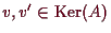 \bgroup\color{demo}$ v,v'\in\operatorname{Ker}(A)$\egroup