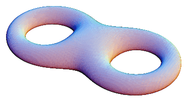 double holed torus