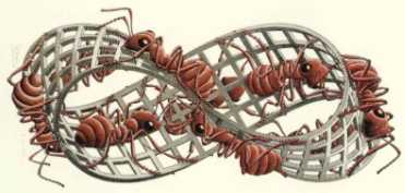 Möbius Band