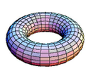 torus