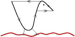 van-canard.png