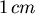 $ 1 cm$