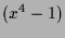 $\displaystyle (x^4-1)$