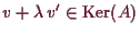 \bgroup\color{demo}$ v+\lambda \,v'\in \operatorname{Ker}(A)$\egroup