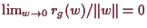 \bgroup\color{demo}$ \lim_{w\to 0} r_g(w)/\Vert w\Vert=0$\egroup