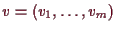 \bgroup\color{demo}$ v=(v_1,\dots,v_m)$\egroup