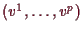 \bgroup\color{demo}$ (v^1,\dots,v^p)$\egroup