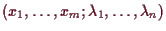 \bgroup\color{demo}$ (x_1,\dots,x_m;\lambda _1,\dots,\lambda _n)$\egroup