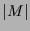 $\displaystyle \vert M\vert$