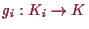 \bgroup\color{proclaim}$ g_i:K_i\to K$\egroup
