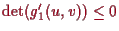 \bgroup\color{proclaim}$ \det(g_1'(u,v))\leq 0$\egroup