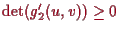 \bgroup\color{proclaim}$ \det(g_2'(u,v))\geq 0$\egroup