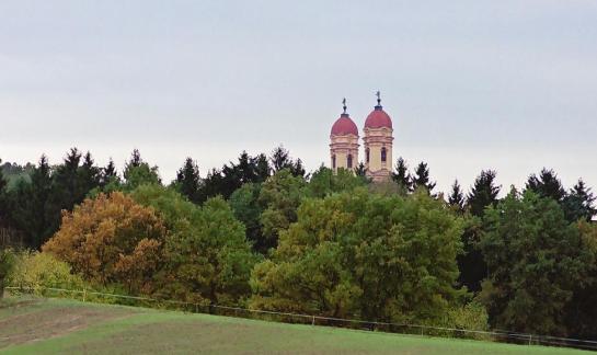 The church behind a forrest